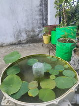 Vimal S. review photo