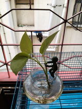 Supratik R. review photo
