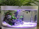 Nikita Naidu review photo