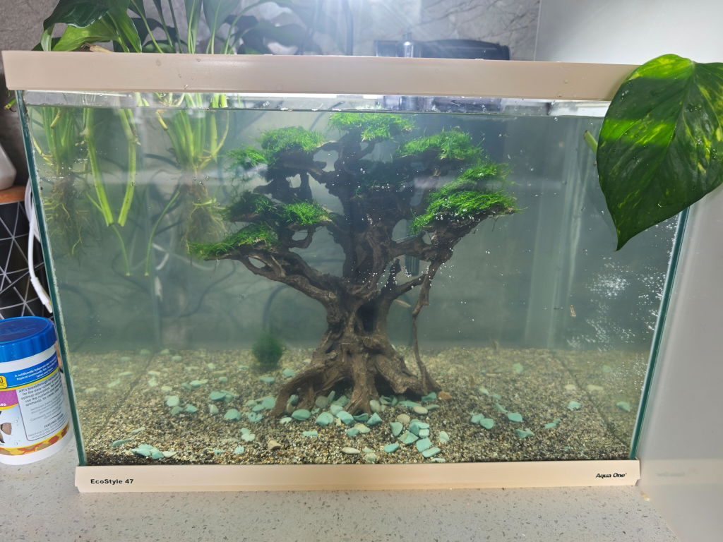 Grand Forest Resin Bonsai Tree