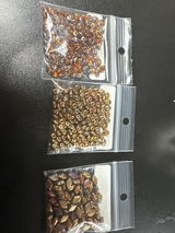 Isabella review photo