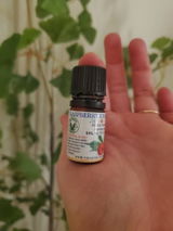 Eleanor Rose review photo