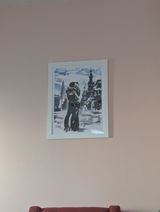 Renalison F review photo