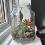 Etsy customer review photo