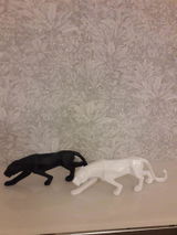 Shyam L. review photo