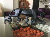 Rakesh G. review photo