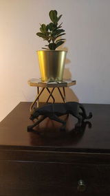Nandita G. review photo