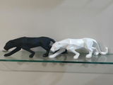 Homyar D. review photo
