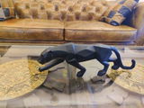 Anisha G. review photo
