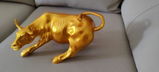 DHANANJAY K. review photo