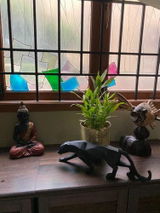 Jyotsna C. review photo