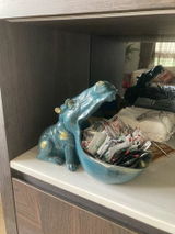 Sapna S. review photo