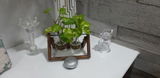 Bharati G. review photo