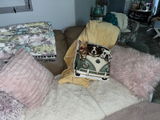 Tiffany Ticknor review photo