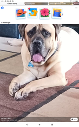 Newsletter Subscriber review photo