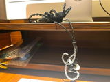 Geet Chopra review photo