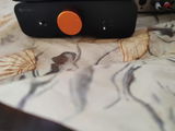 Roop review photo