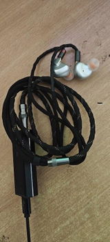 Siva review photo