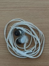 Sayooj K review photo