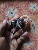 Anjan Biswas review photo