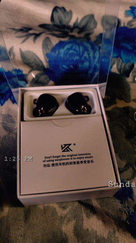 KZ Castor Pro IEM With Mic