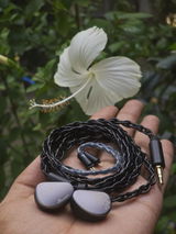 Malay Kumar Chakraborty review photo