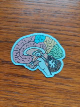 Sofie review photo