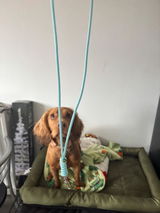 Etsy customer review photo