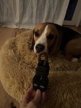 Rocky review photo