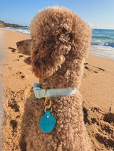 Leonie review photo