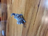 Kayla Goldner review photo
