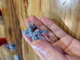 Kayla Goldner review photo