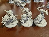 Chris Koelpin review photo