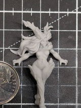 Dallin review photo
