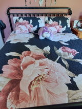 Patricia Payne review photo