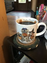 Carole Porcher review photo