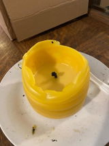 Amazon Customer review photo