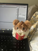 Anonymous review photo