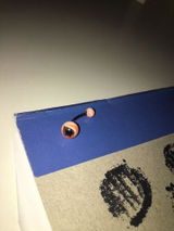 Chantel D. review photo