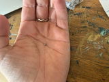 Zoe C. review photo