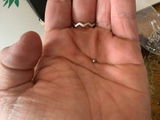 Zoe C. review photo