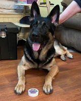 Duke review photo
