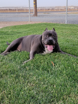 Deebo review photo