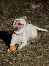 Casper review photo
