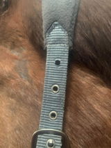 Gibb D. review photo