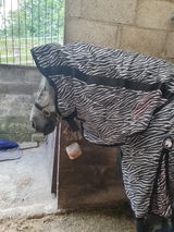 Julie R. review photo
