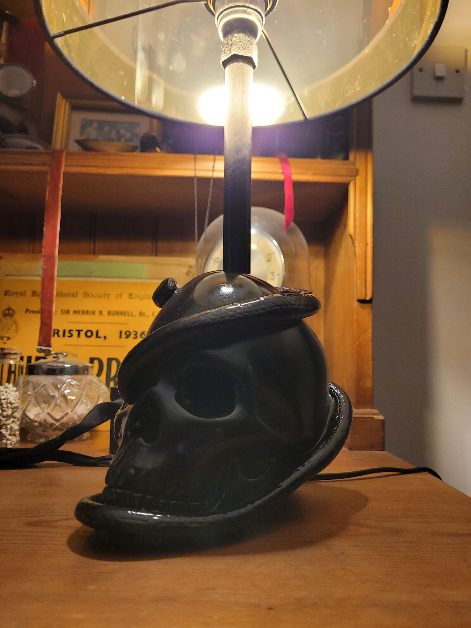 Artemis Snake Skull Lamp – The Blackened Teeth Ltd