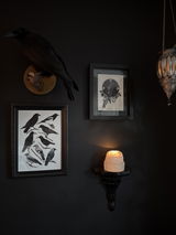 Perfect for adding feature to a wall review photo