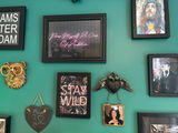 Shelly Wild review photo