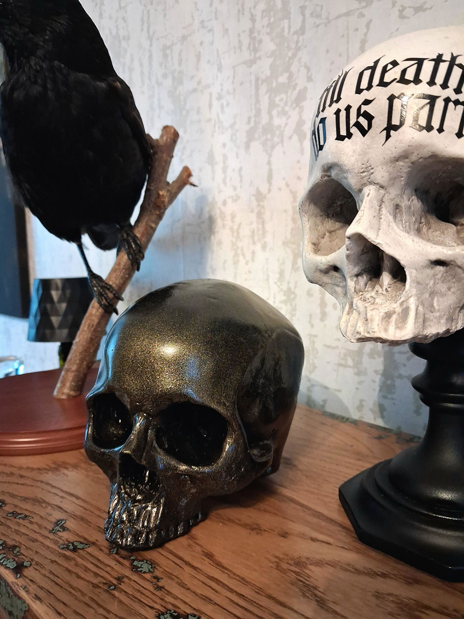 Skull of Jane Doe Ornament - Blackened Gold – The Blackened Teeth Ltd